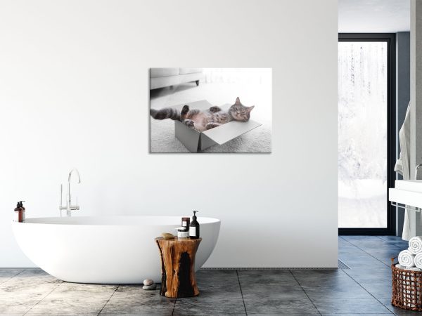 Müde Katze schläft im Karton B&W Detail, Glasbild Rabatt – Bild 4