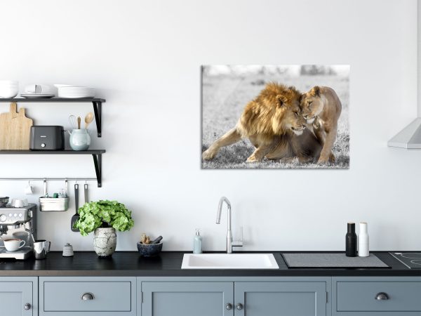 Schmusendes Löwenpaar in der Steppe B&W Detail, Glasbild Zu verkaufen – Bild 3