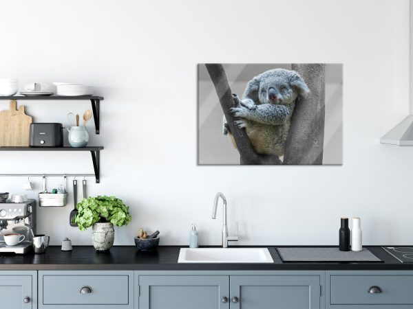 Schlafender Koala im Baum B&W Detail, Glasbild Online-Schn?ppchen – Bild 3
