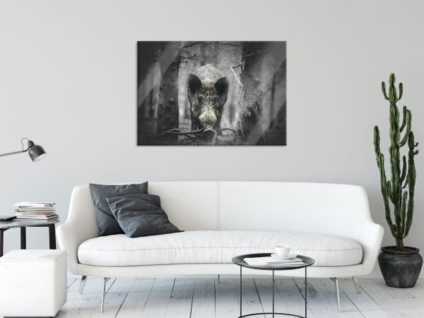 Nahaufnahme Wildschwein im Wald B&W Detail, Glasbild Mode – Bild 2