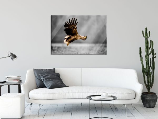 Nahaufnahme Adler bei der Jagd B&W Detail, Glasbild Schn?ppchen – Bild 2