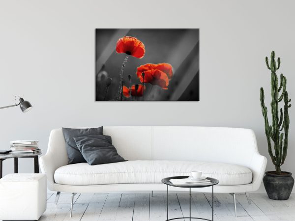 Mohnblumen auf einer Wiese in der Nacht B&W Detail, Glasbild Verkauf – Bild 2