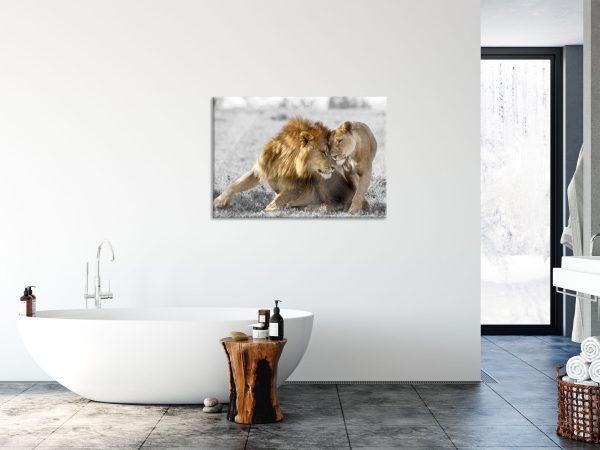 Schmusendes Löwenpaar in der Steppe B&W Detail, Glasbild Zu verkaufen – Bild 4