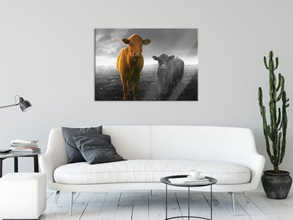 Kuh und Kalb im Sonnenuntergang auf Wiese B&W Detail, Glasbild Online-Verkauf – Bild 2