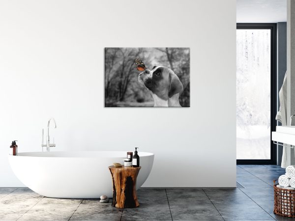 Welpe mit Schmetterling auf der Nase B&W Detail, Glasbild Verkauf – Bild 4