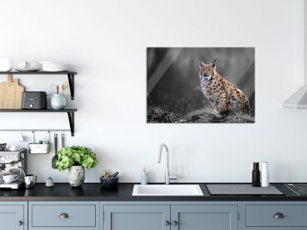 Europäischer Luchs auf Wiese B&W Detail, Glasbild Angebot – Bild 3