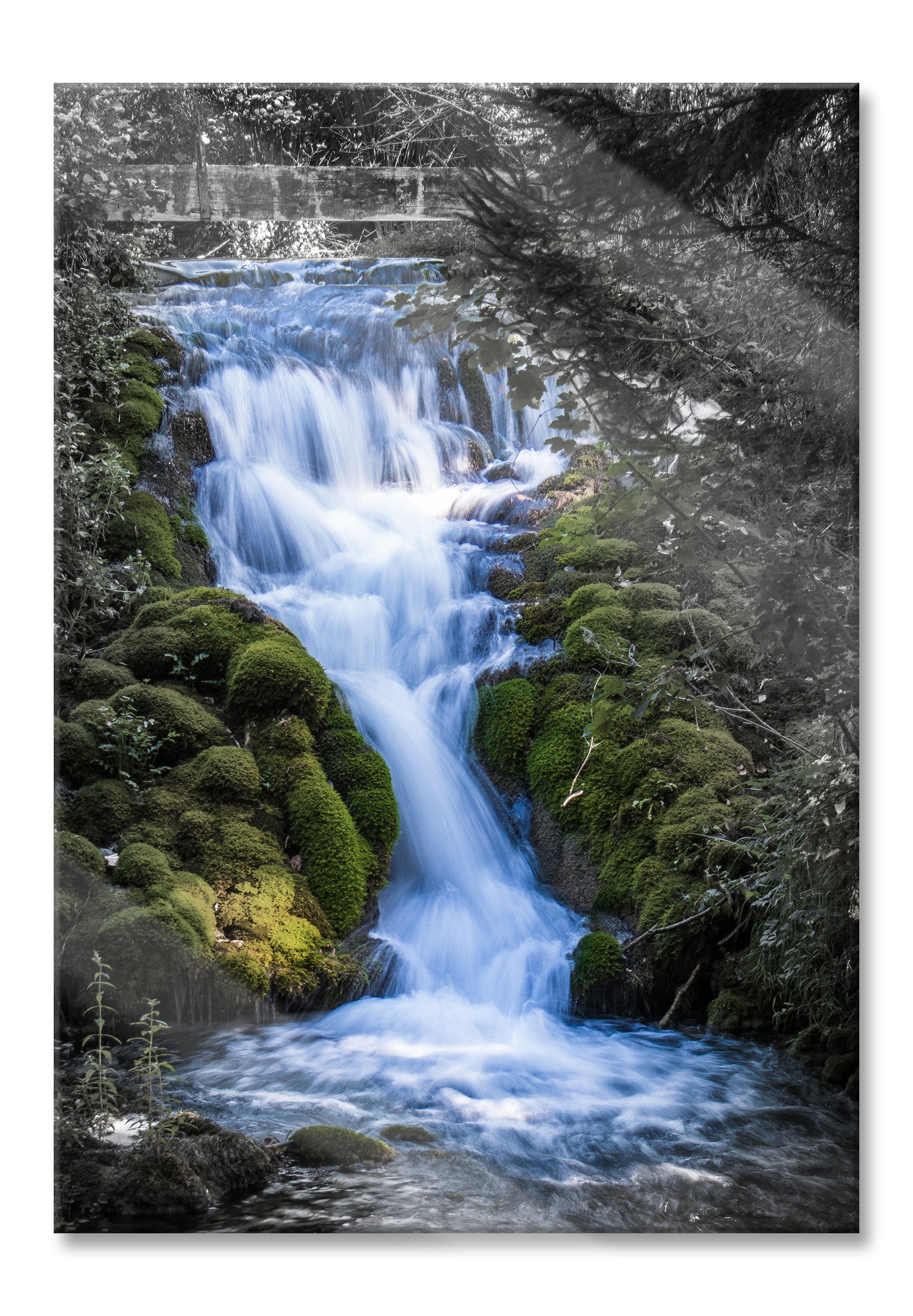 Wasserfall im grünen Wald B&W Detail, Glasbild Online-Schn?ppchen