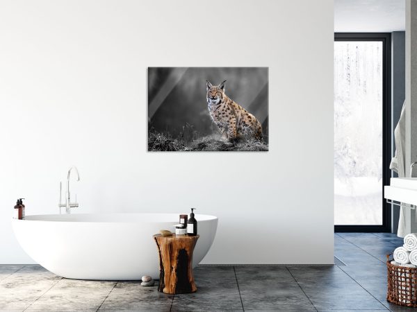 Europäischer Luchs auf Wiese B&W Detail, Glasbild Angebot – Bild 4