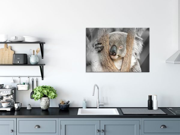 Koala schläft mit Kopf in Astgabel B&W Detail, Glasbild Angebot – Bild 3