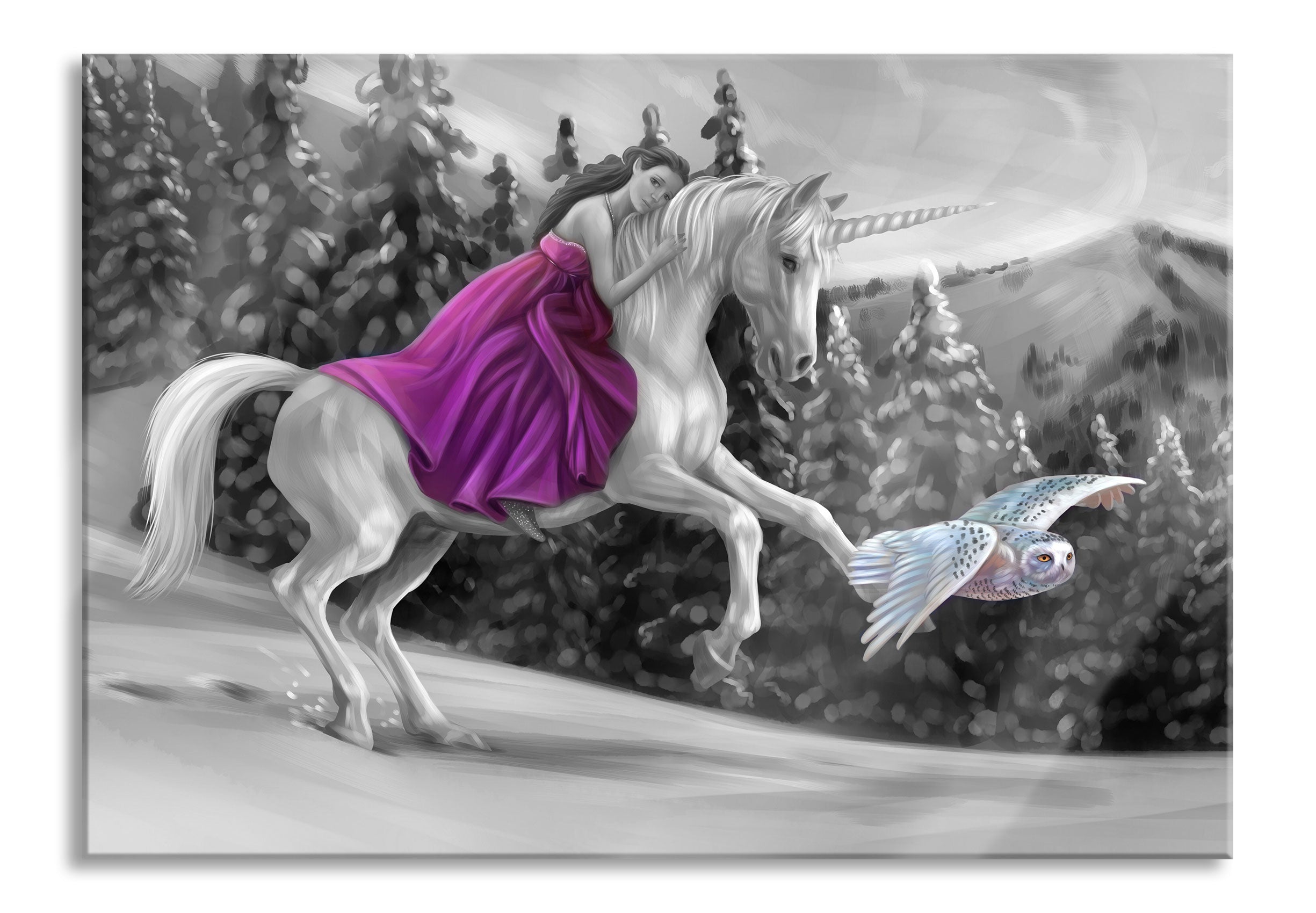 Mädchen reitet auf Einhorn im Winter B&W Detail, Glasbild Jetzt online