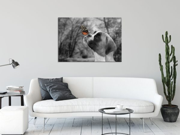 Welpe mit Schmetterling auf der Nase B&W Detail, Glasbild Verkauf – Bild 2