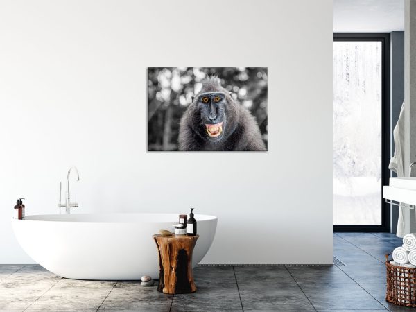 Lustiger Affe lacht mit offenem Maul B&W Detail, Glasbild Jetzt online – Bild 4