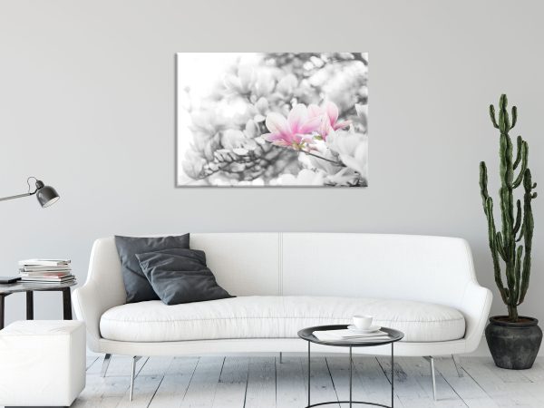 Nahaufnahme blühender Magnolienbaum B&W Detail, Glasbild Zu verkaufen – Bild 2
