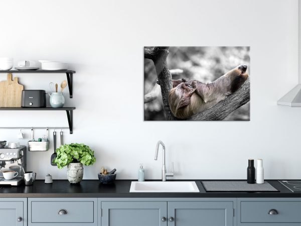 Schlafendes Faultier in Astgabel B&W Detail, Glasbild Angebot – Bild 3