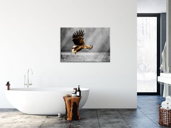 Nahaufnahme Adler bei der Jagd B&W Detail, Glasbild Schn?ppchen – Bild 4