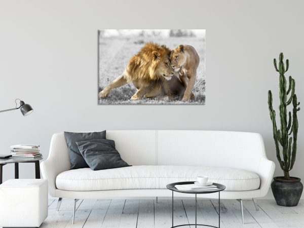 Schmusendes Löwenpaar in der Steppe B&W Detail, Glasbild Zu verkaufen – Bild 2