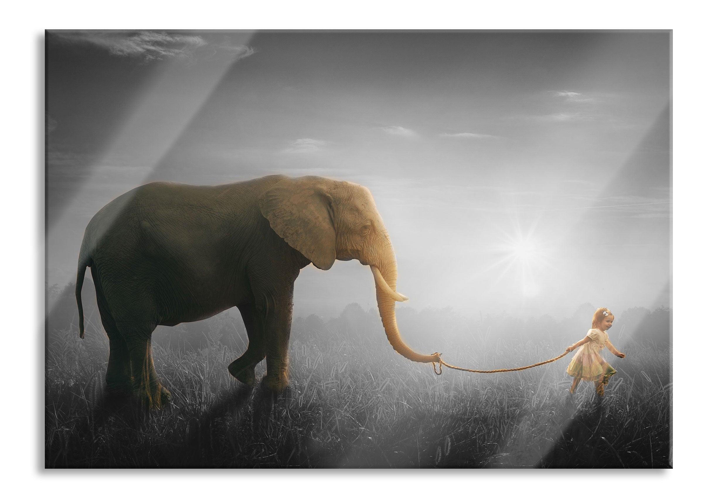 Kind und Elefant bei Sonnenuntergang B&W Detail, Glasbild Verkauf