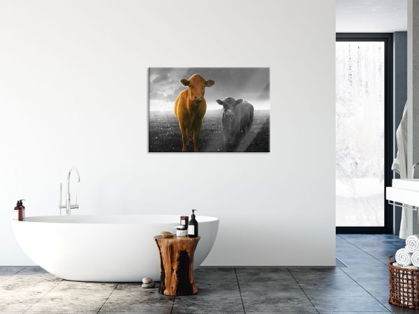 Kuh und Kalb im Sonnenuntergang auf Wiese B&W Detail, Glasbild Online-Verkauf – Bild 4