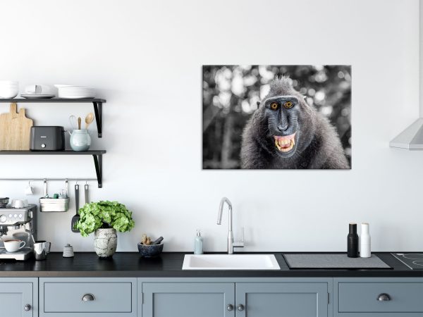 Lustiger Affe lacht mit offenem Maul B&W Detail, Glasbild Jetzt online – Bild 3