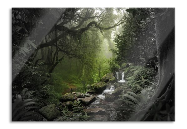 Kleinder Wasserfall im Dschungel B&W Detail, Glasbild Im Angebot