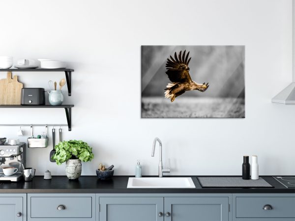 Nahaufnahme Adler bei der Jagd B&W Detail, Glasbild Schn?ppchen – Bild 3