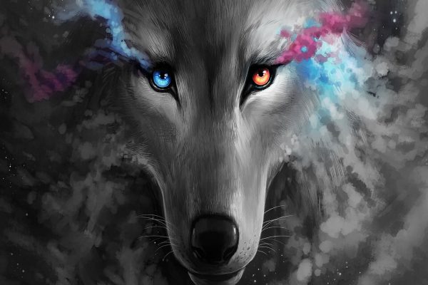 Abstrakter Wolf mit rauchenden Augen B&W Detail, Glasbild Schn?ppchen – Bild 5