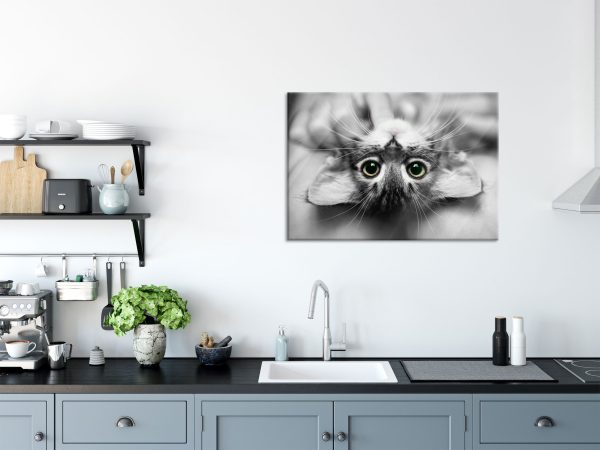 Nahaufnahme Kätzchen auf dem Rücken B&W Detail, Glasbild Zu verkaufen – Bild 3