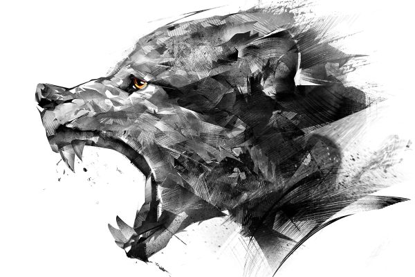 Abstrakter Wolfskopf im Profil B&W Detail, Glasbild Verkauf – Bild 5