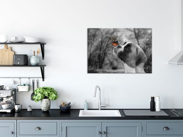 Welpe mit Schmetterling auf der Nase B&W Detail, Glasbild Verkauf – Bild 3