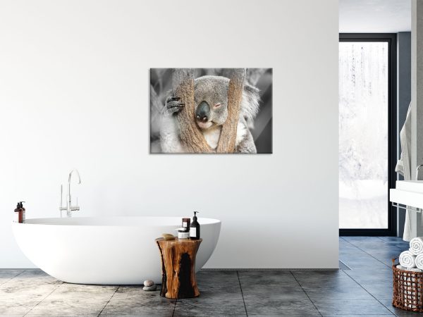 Koala schläft mit Kopf in Astgabel B&W Detail, Glasbild Angebot – Bild 4
