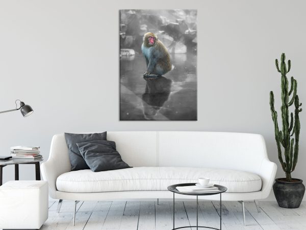 Schneeaffe auf Scholle in heißer Quelle B&W Detail, Glasbild Verkauf – Bild 2