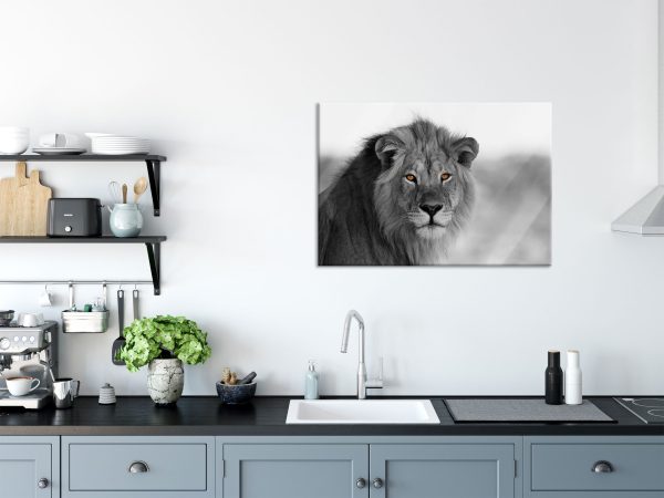 Poträt eines Löwen in der Savanne B&W Detail, Glasbild Online – Bild 3