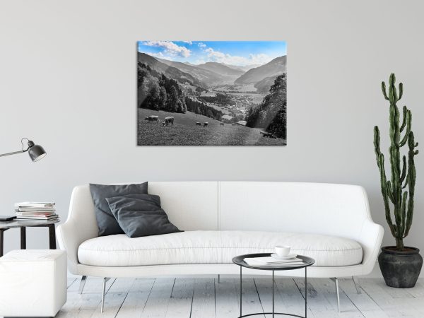 Kuhherde auf Zillertaler Almwiese B&W Detail, Glasbild Im Angebot – Bild 2