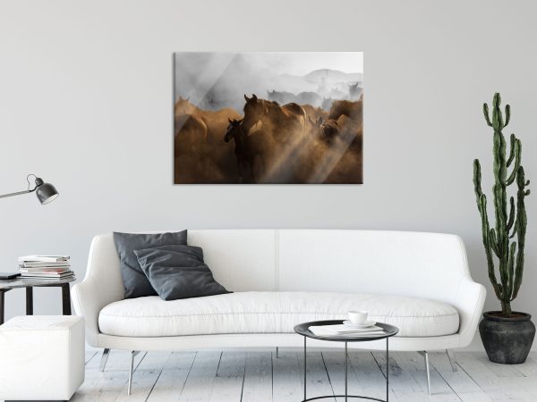 Pferdeherde im Staub bei Sonnenuntergang B&W Detail, Glasbild Im Angebot – Bild 2