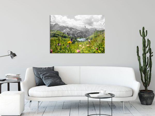 Wiesenblumen in den Bergen B&W Detail, Glasbild Schn?ppchen – Bild 2