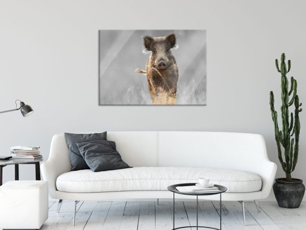 Neugieriges Wildschwein auf einem Feld B&W Detail, Glasbild Zu verkaufen – Bild 2