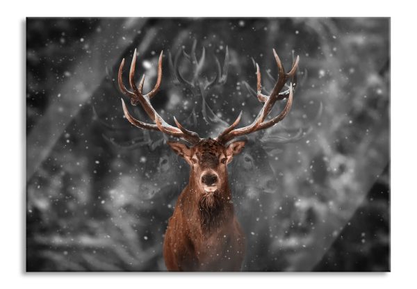 Machtvoller Hirsch im Winterwald B&W Detail, Glasbild Jetzt online