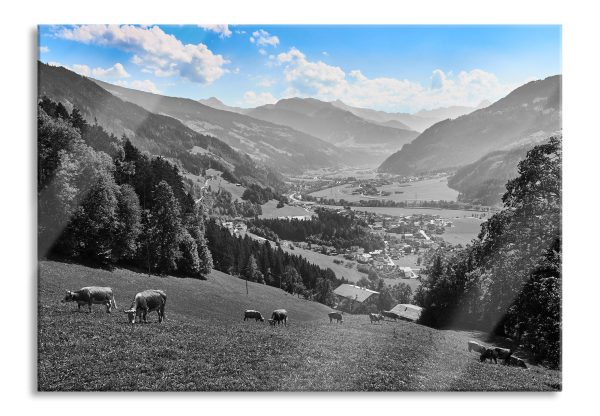 Kuhherde auf Zillertaler Almwiese B&W Detail, Glasbild Im Angebot