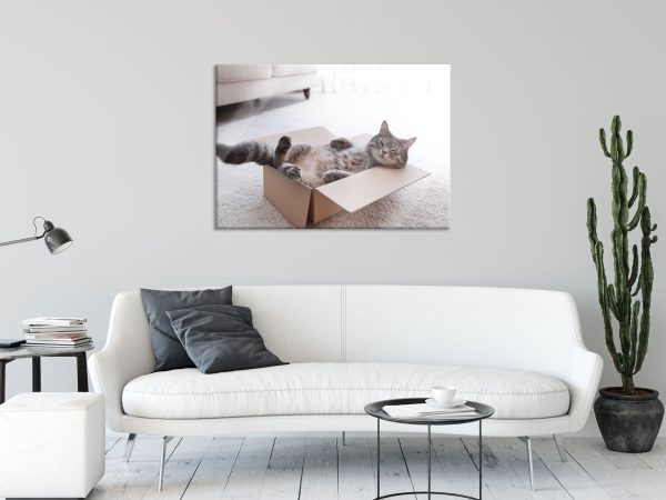 Müde Katze schläft im Karton, Glasbild Im Angebot – Bild 2